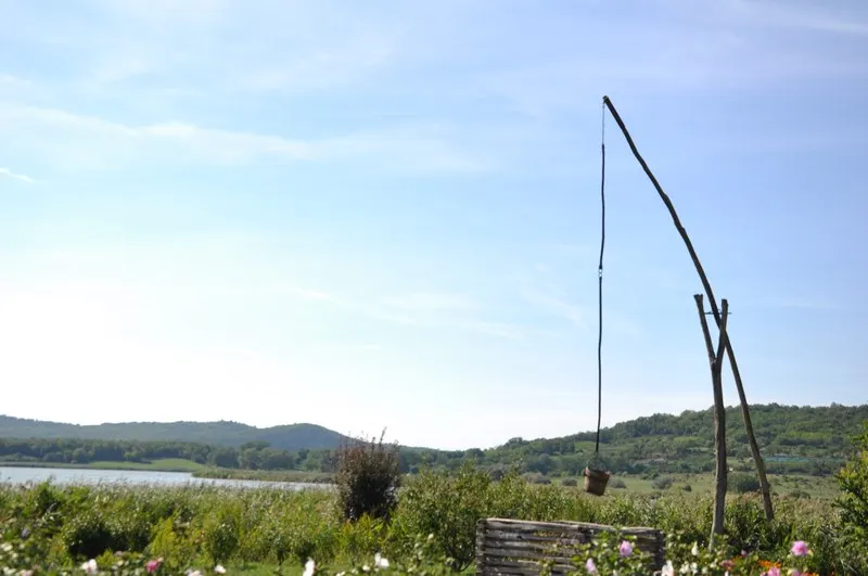 Photograph — Lake Balaton (50)