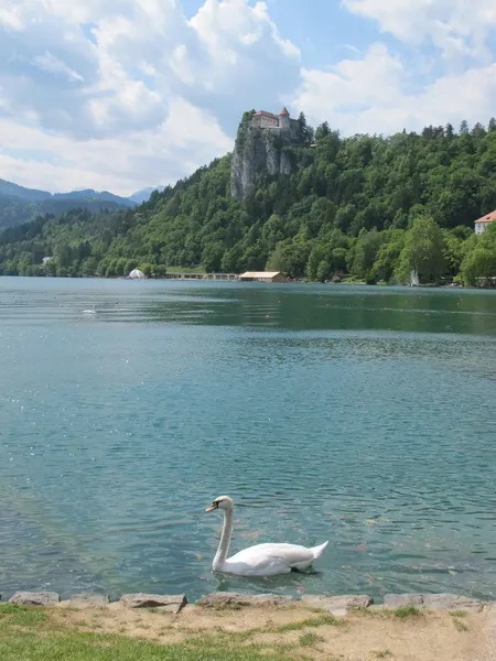 Photograph — Bled (7)