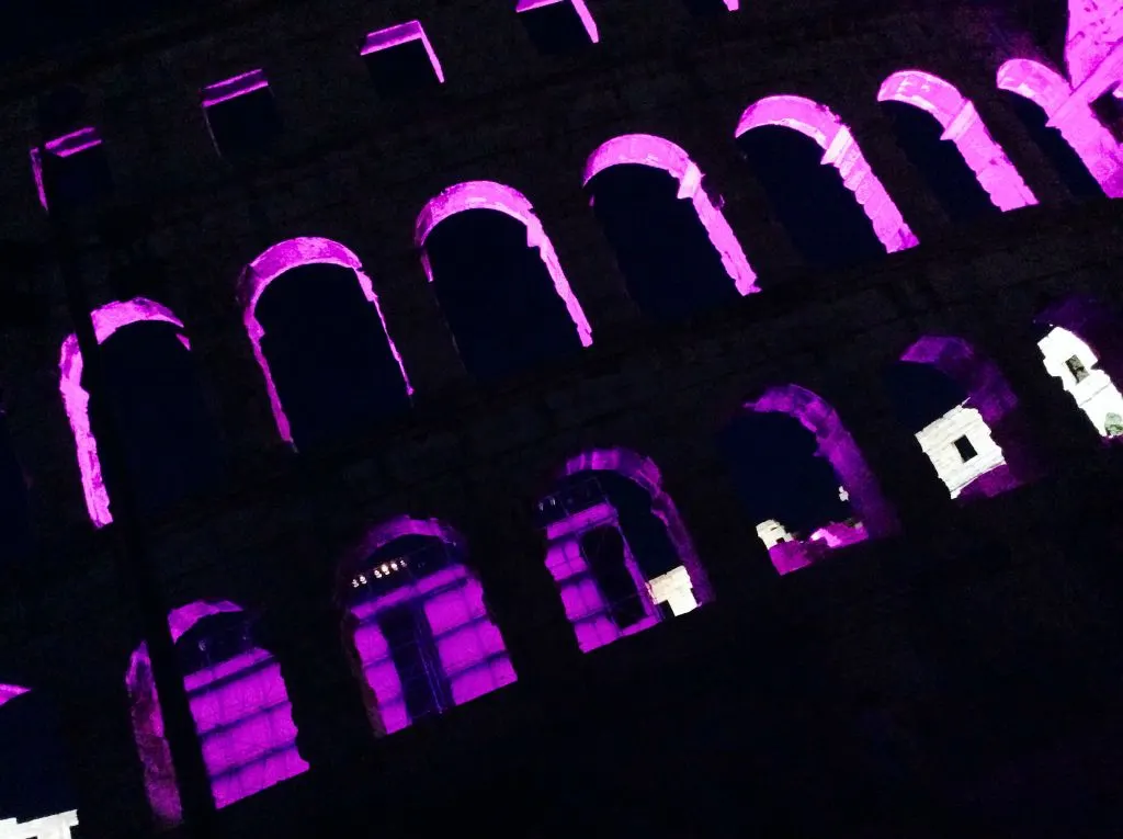Photograph — Opening — 64th Pula Film Festival (12)
