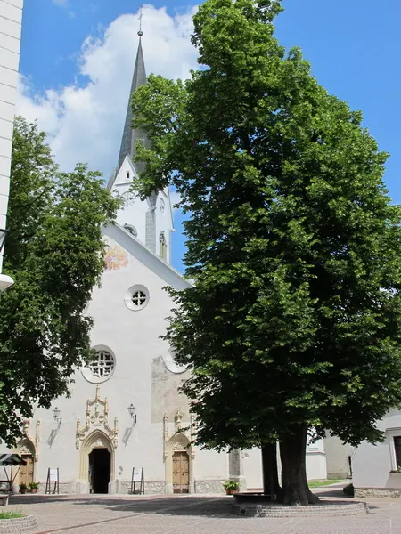 Photograph — Radovljica (4)