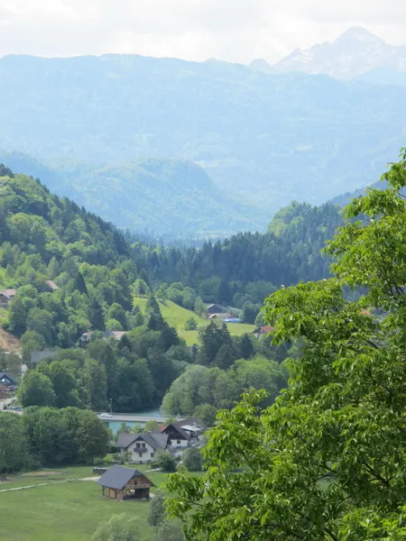 Photograph — Radovljica (5)