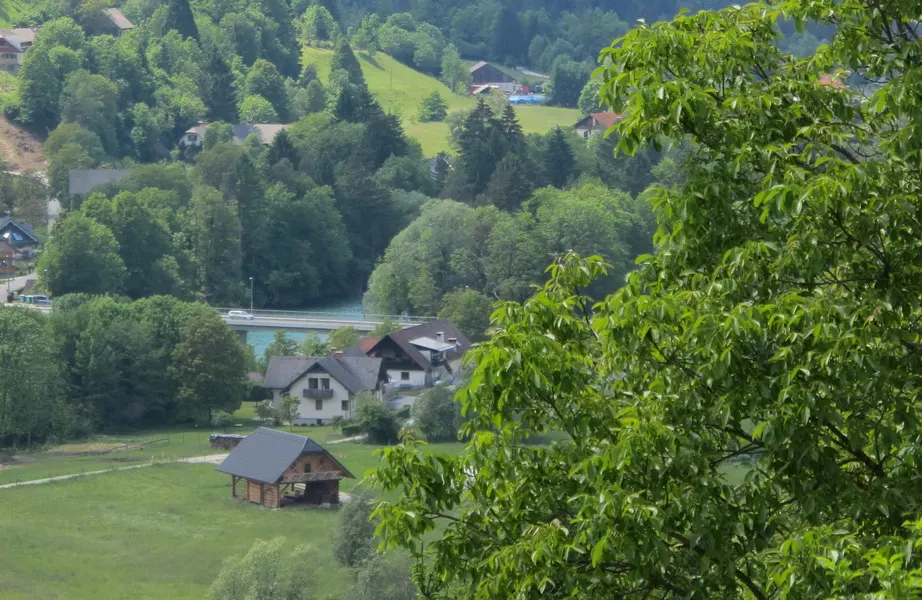 Photograph — Radovljica (14)