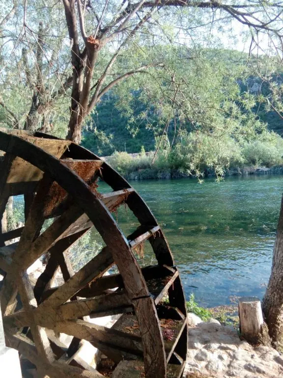 Photograph — Trebinje (6)