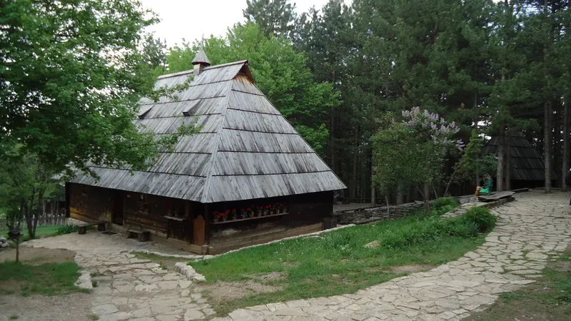 Photograph — Western Serbia (I) (42)
