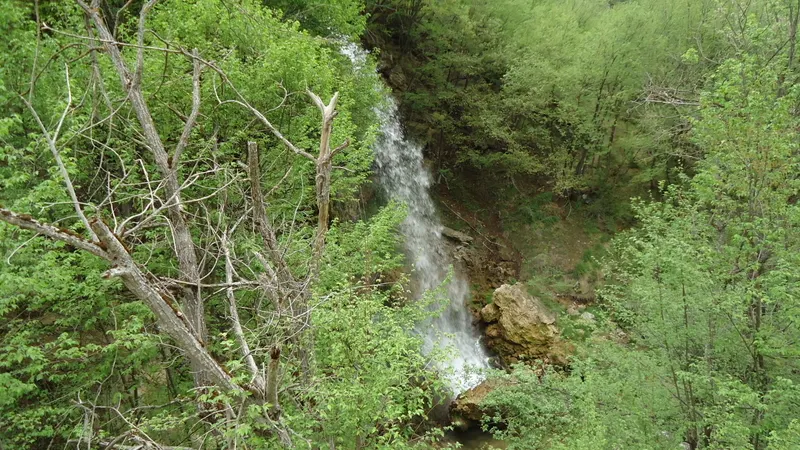 Photograph — Western Serbia (I) (45)